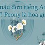 Hóa Đơn Trong Tiếng Anh Là Gì